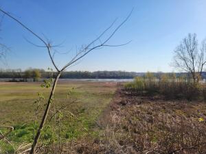 Dardanelle City Subdivision - Residential