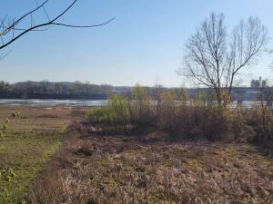 Dardanelle City Subdivision - Residential