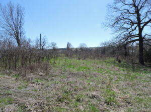 Located between Harrison, Ar and the White River, a famous trout fishing river, this 17 ac m/l property has paved road frontage, rural water, electric, natural gas and phone. A perfect property for subdividing or to build your dream home. Pasture, Woods, Pond. Lays extremely nice.