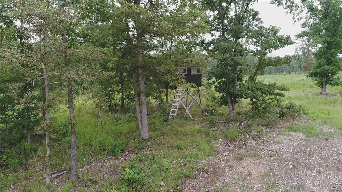 08-19-32-Rural - Land