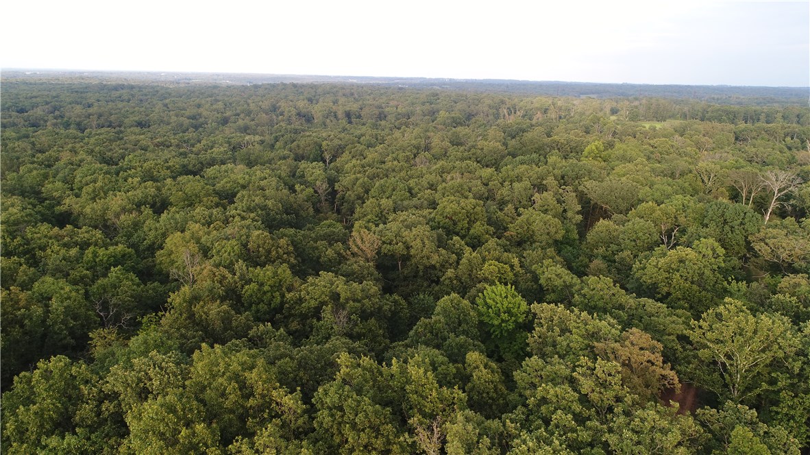 08-19-32-Rural - Land