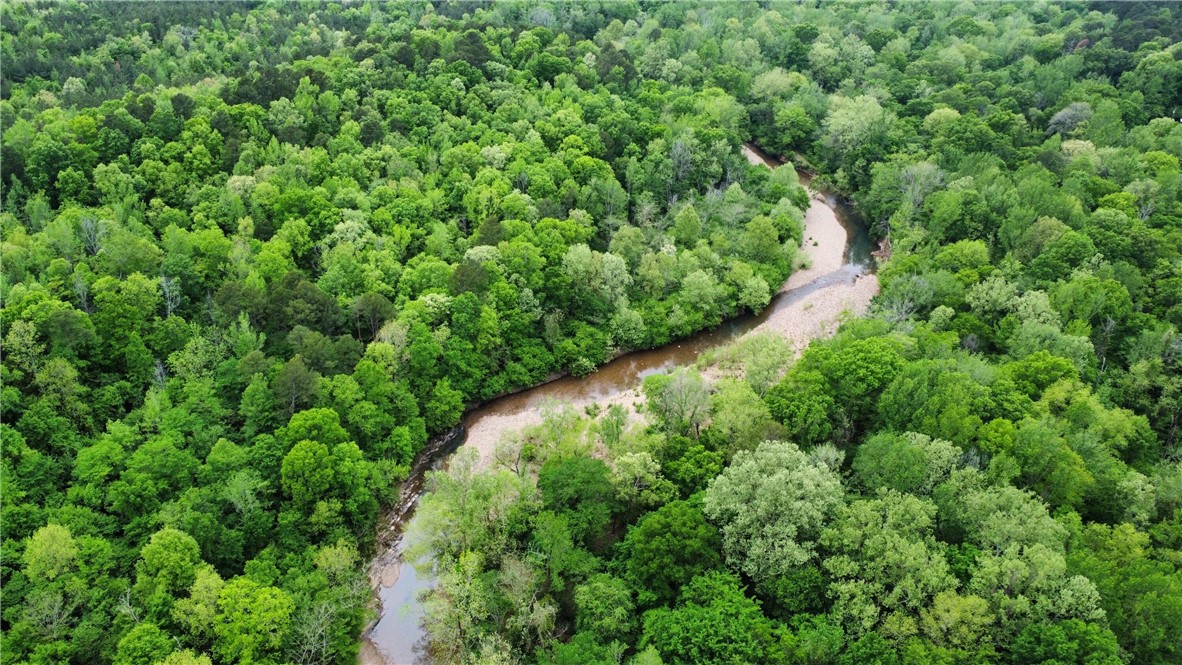 Tract 1
For Sale: ±40 Acres on South Fork Caddo River
(to be surveyed from a 240-acre parcel, with 480 acres total, all available for purchase)
This ±40-acre parcel, to be surveyed from a 240-acre parent tract, is located off NFW 517 and will offer direct deeded access via a new road constructed by the seller. The property joins the Ouachita National Forest at the northwest corner, adjacent to the South Fork Caddo River bed. Perfect for an off grid cabin location, with potential for electricity in the future.
Planted in 2008, Loblolly pines cover a large portion of the property, primarily south of the existing road. The map shows proposed boundaries and access points—pink arrows indicate new roads to be built, and white lines show existing trails.