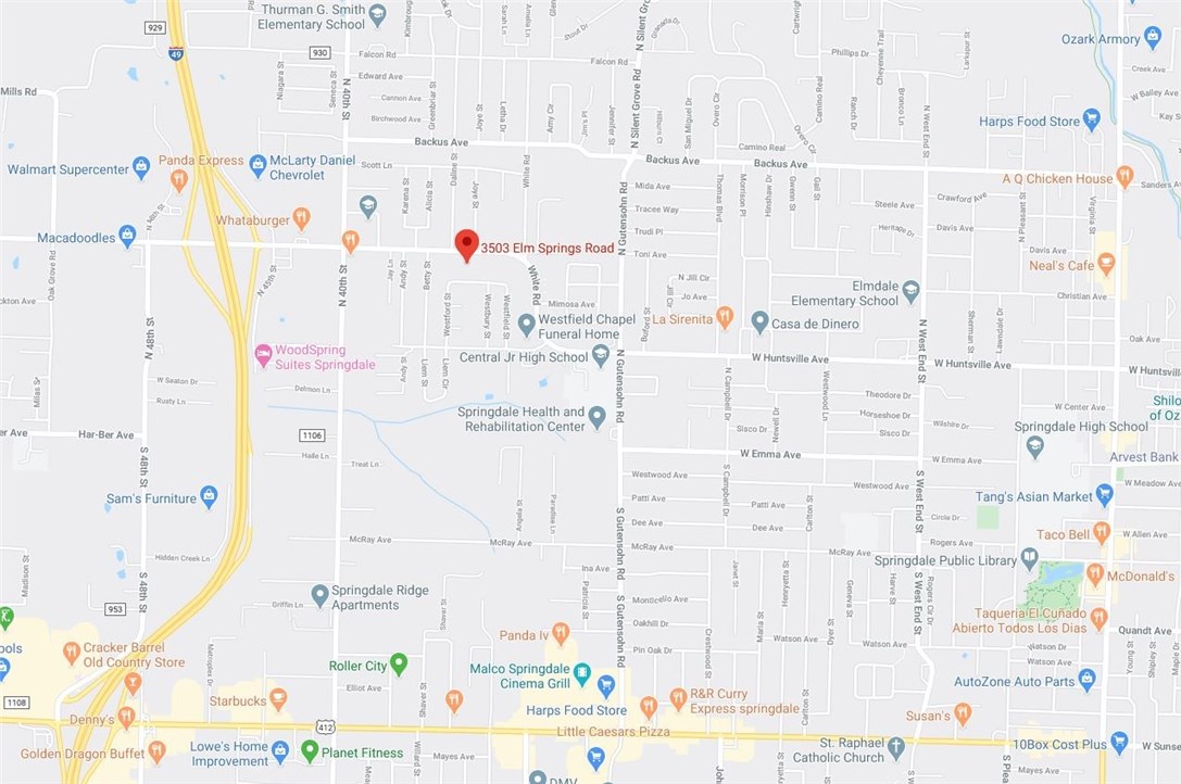 Main image without alt text