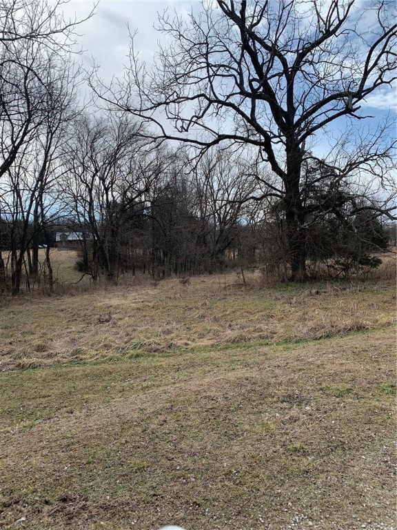 5 Plus acre lots just inside city limits of Berryville. Ideal for building. At the edge of town with a bank of trees on back of lot.
