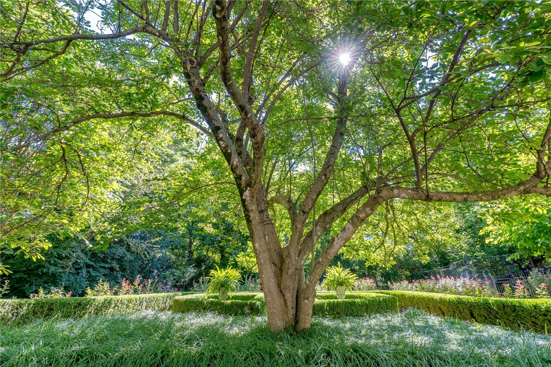 Davidsons First - Residential