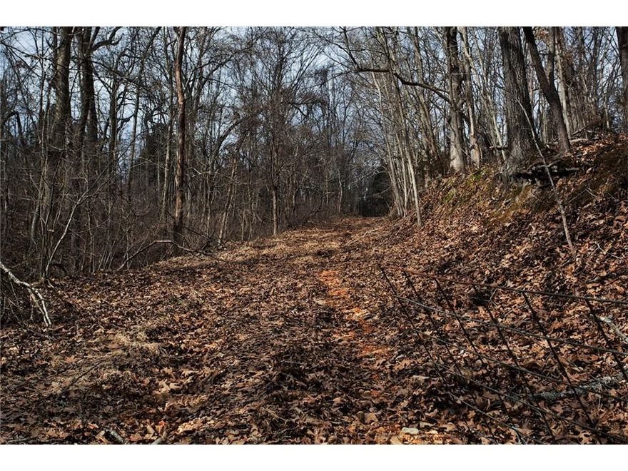 Rare & one of a kind 140 ac secluded and surrounded 3 sides by Pea Ridge Military Park. Property has been in same family since 1850 and before the Civil War Battle of 1862. History, sellers have the original homestead dead signed by President Harrison. Owners donated articles to the military park. 20-25 ac open level on hilltop with rest wooded. Ownership of part of Elkhorn Mountain.