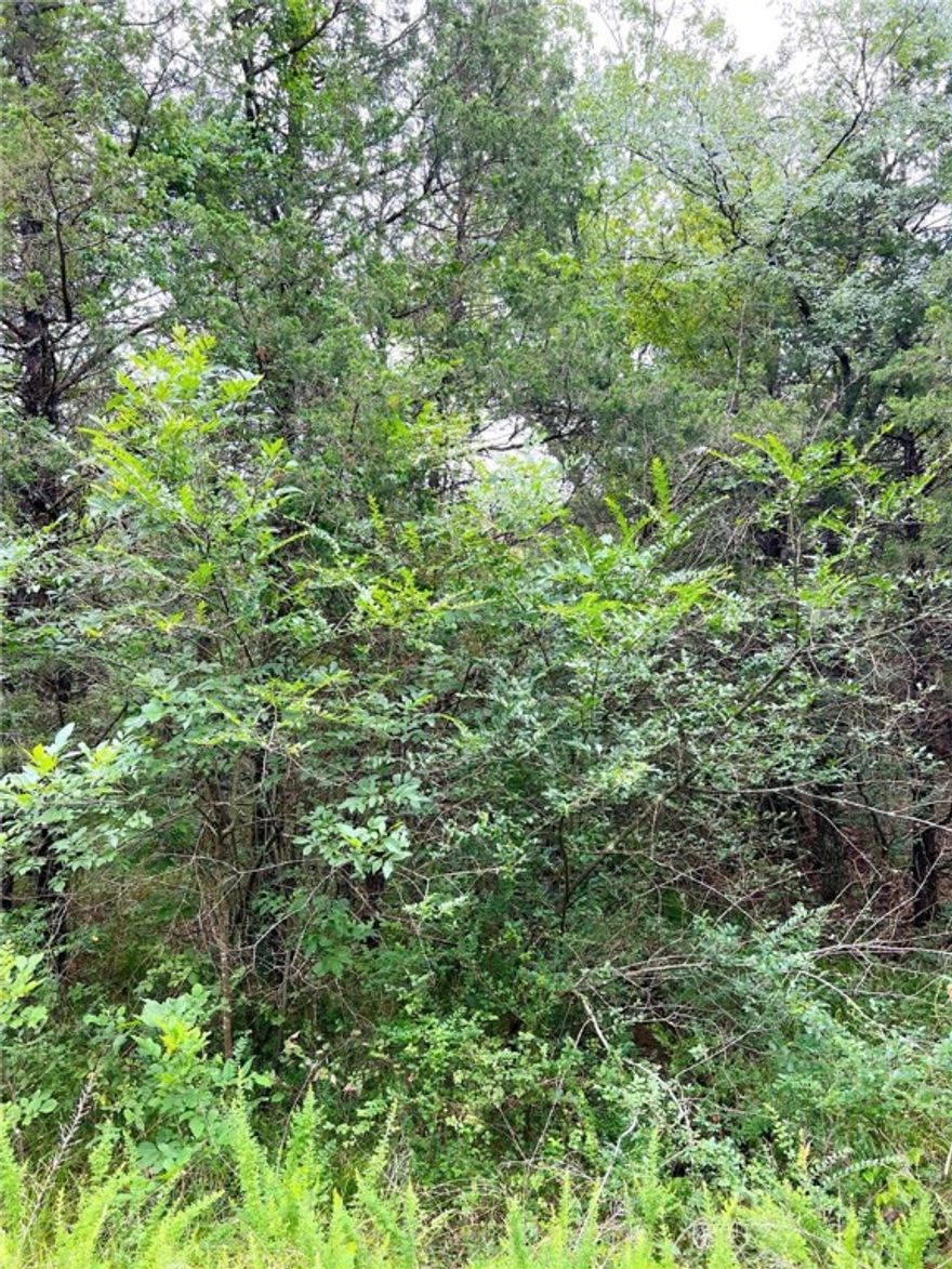 Want to be the first house on the street? This 70 x 107 lot is just a short jump from the highway but yet is on an undeveloped street in the lakeside community of Diamond City. This is your chance to set the bar. Water and sewer are available. Sewer will likely need a grinder pump. 1000 SF minimum build restriction.