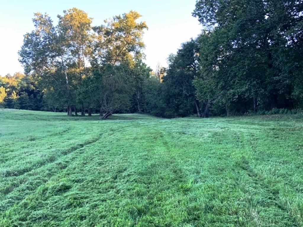 Great Location, beautiful land, close to Siloam Springs. 91 +- acres just east of Siloam Springs.
Located on pavement, perfect place for a new home, nice hay meadow also could be used for recreational
purposes. Property is gently rolling, partially wooded and has a small spring. Seller is providing a new survey.