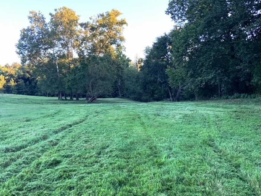 Great Location, beautiful land, close to Siloam Springs. 91 +- acres just east of Siloam Springs.
Located on pavement, perfect place for a new home, nice hay meadow also could be used for recreational 
purposes. Property is gently rolling, partially wooded and has a small spring. Seller is providing a new survey.