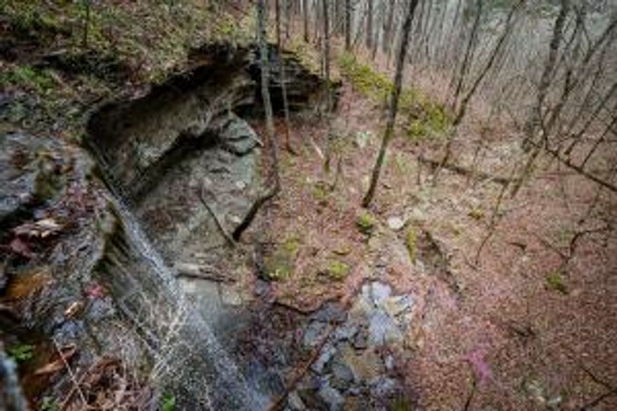 The 80-acre river view property for recreational use only, is 2.4 miles down Angora Mountain Road, by the famous railroad ghost town Arlberg, off HWY 110 in Stone County. The property features mature timber, with level to steep terrain, two year-round creeks bordering both sides of the property which feed into the Little Red River. A breathtaking 40' waterfall is located in the center of the property, along with an abundance of wildlife, including whitetail deer and turkey. The Middle Fork Little Red River is known for its pristine, clear water and trout fishing.  Sit back and enjoy the ambient sounds of the river and the stunning views of the Ozark Mountains.
Utilities are not available. This is recreational use only property only.