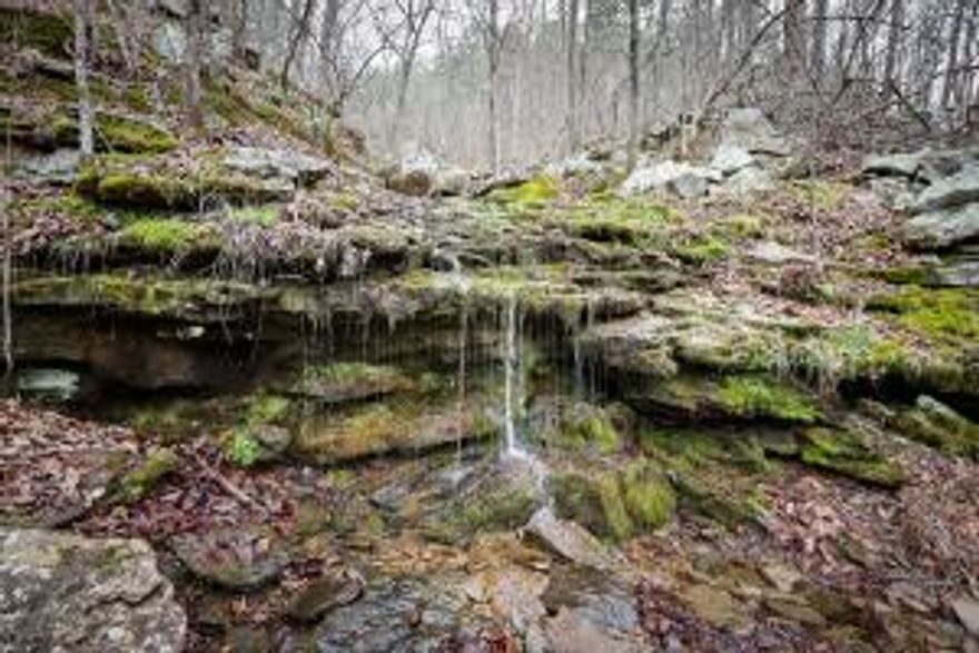 The 80-acre river view property for recreational use only, is 2.4 miles down Angora Mountain Road, by the famous railroad ghost town Arlberg, off HWY 110 in Stone County. The property features mature timber, with level to steep terrain, two year-round creeks bordering both sides of the property which feed into the Little Red River. A breathtaking 40' waterfall is located in the center of the property, along with an abundance of wildlife, including whitetail deer and turkey. The Middle Fork Little Red River is known for its pristine, clear water and trout fishing.  Sit back and enjoy the ambient sounds of the river and the stunning views of the Ozark Mountains.
Utilities are not available. This is recreational use only property only.