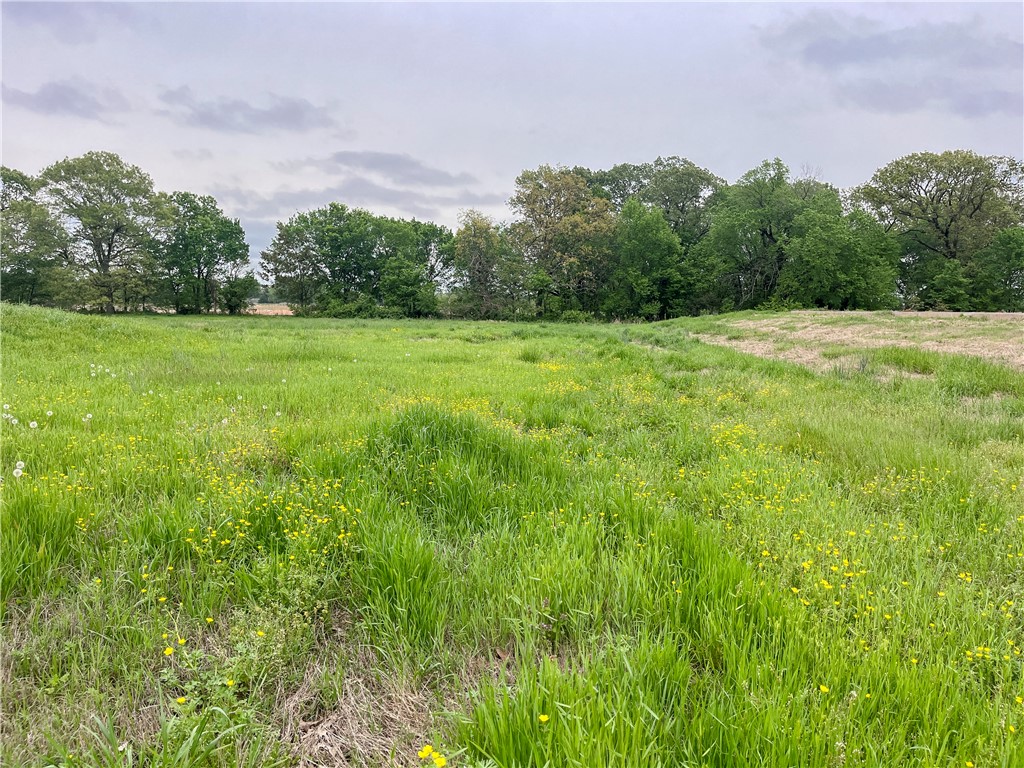 Beautiful, flat, private lot in the Harmon area big enough for all your dreams! Perc test has passed. No covenants. Area is insulated from further development as it's surrounded by University land. Water is at the street. Electric is on site. Tract 1 of 3. For map directions, you can also try CR 874 instead of White Oak Rd. See also MLS 1294508, MLS 1304076, and MLS 1304078