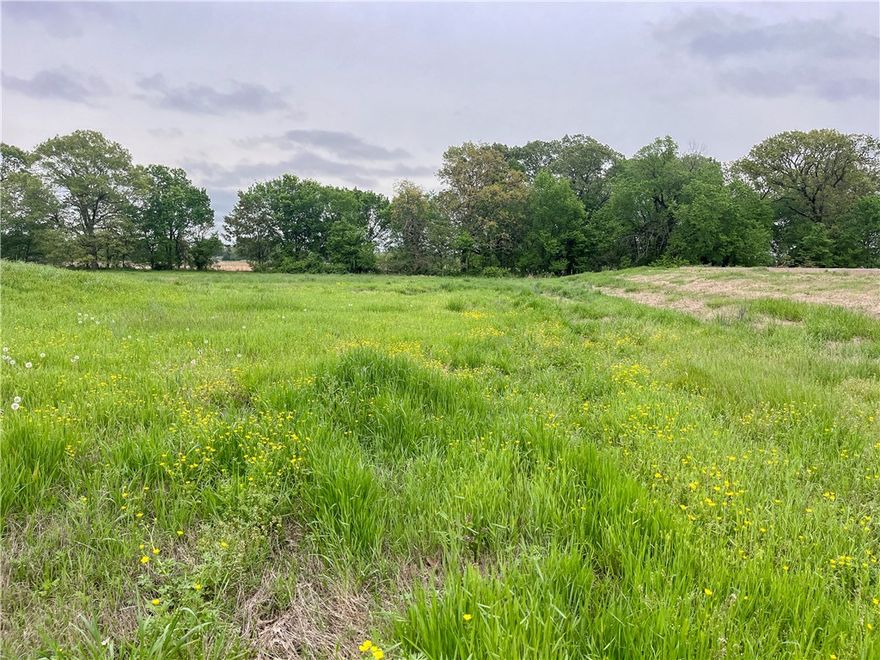 Beautiful, flat, private lot in the Harmon area big enough for all your dreams! Perc test has passed. No covenants. Area is insulated from further development as it's surrounded by University land. Water is at the street. Electric is on site. Tract 1 of 3. For map directions, you can also try CR 874 instead of White Oak Rd. See also MLS 1294508, MLS 1304076, and MLS 1304078