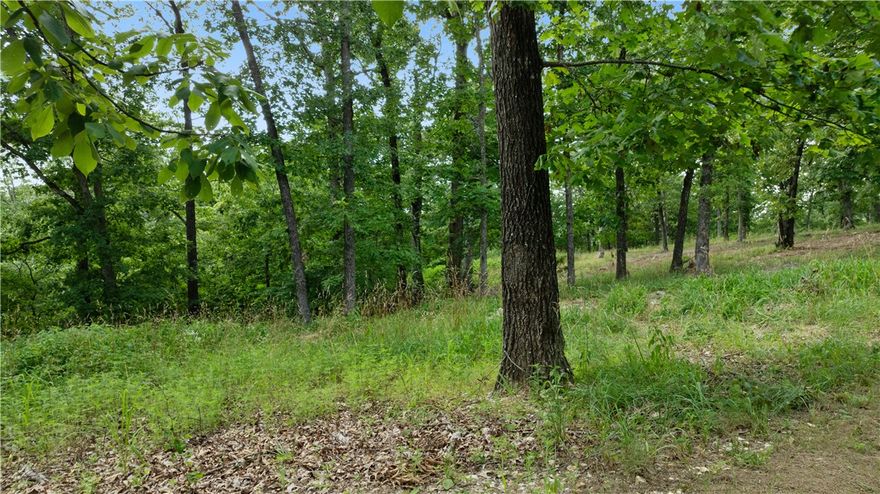 Perfect opportunity to build your dream home on this +/- 3.90-acre wooded residential lot, located just 5 miles from the Beaver Lake Boat Ramp and Lakeshore. Tucked away in a secluded, peaceful setting, this property offers a quiet rural lifestyle with convenient access to town. Electric is already available on-site, while a water well and septic system will be needed. With County Zoning, the current site plan is
preliminary and can be tailored to suit your needs in both size and shape, offering flexibility for your ideal build. Esculapia Hollow Rd is currently a dirt road, however, it is set to be paved this summer. Ideally situated approx. 3.5 miles from Lake Atlanta, 4 miles from Downtown Rogers, and 6 miles from Horseshoe Bend Marina, this lot provides the best of both worlds - tranquil living with easy access to outdoor recreation, shopping, dining, and more. Don't miss out on this prime piece of Northwest Arkansas real estate!