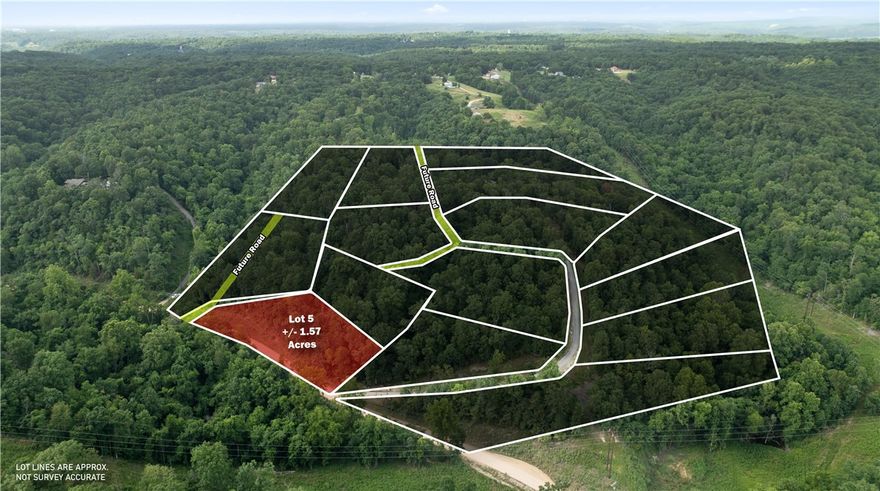 Perfect opportunity to build your dream home on this +/- 1.57-acre wooded residential lot, located just 5
miles from the Beaver Lake Boat Ramp and Lakeshore. Tucked away in a secluded, peaceful setting, this
property offers a quiet rural lifestyle with convenient access to town. Electric is already available on-site,
while a water well and septic system will be needed. With County Zoning, the current site plan is
preliminary and can be tailored to suit your needs in both size and shape, offering flexibility for your ideal build. Esculapia Hollow Rd is currently a dirt road, however, it is set to be paved this summer. Ideally situated approx. 3.5 miles from Lake Atlanta, 4 miles from Downtown Rogers, and 6 miles from Horseshoe Bend Marina, this lot provides the best of both worlds - tranquil living with easy access to outdoor recreation, shopping, dining, and more. Don't miss out on this prime piece of Northwest Arkansas real estate!