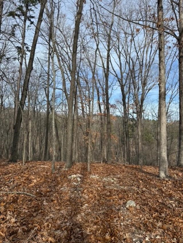 Southern Hills #Iv - Land