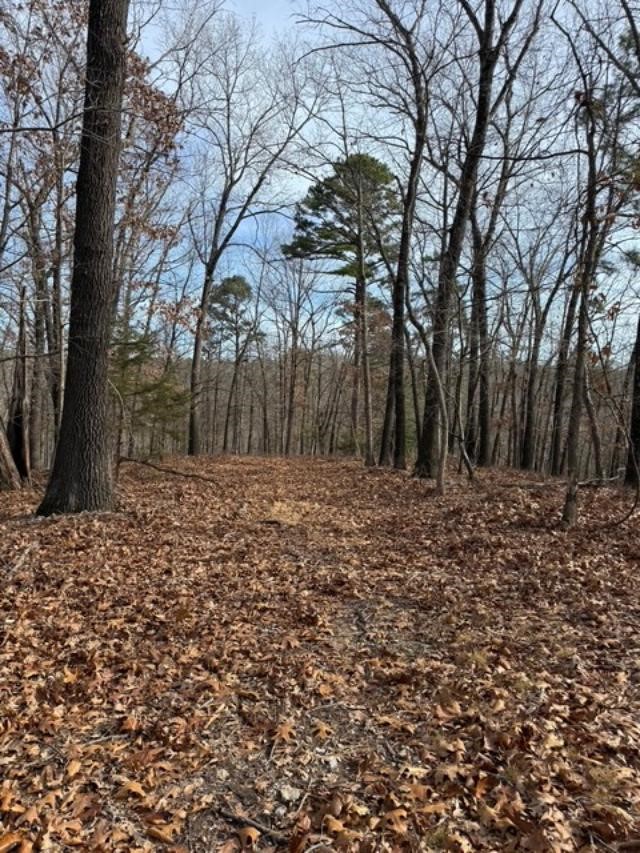 Southern Hills #Iv - Land