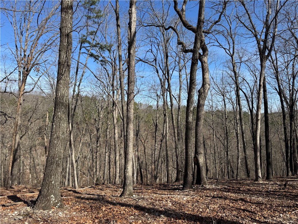 Southern Hills #Iv - Land