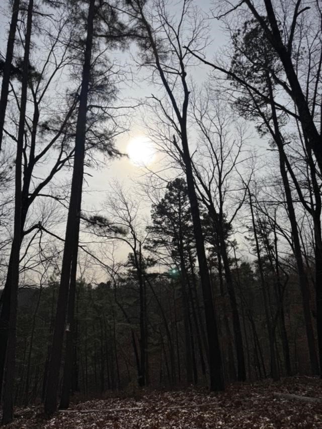 Southern Hills #Iv - Land