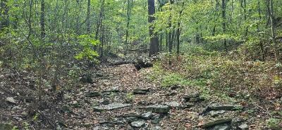 Southern Hills #Iv - Land