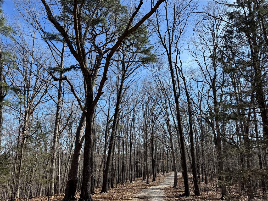 Southern Hills #Iv - Land