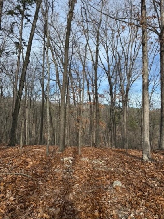 Southern Hills #Iv - Land