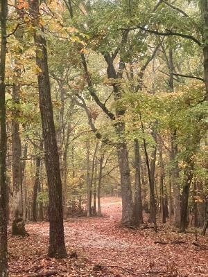 Southern Hills #Iv - Land