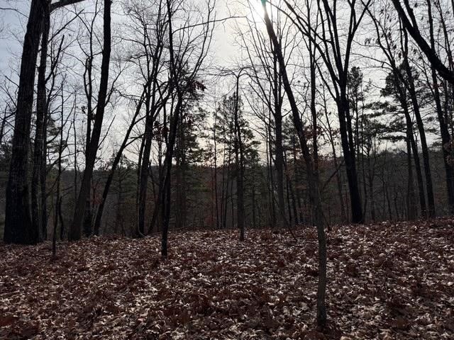 Southern Hills #Iv - Land