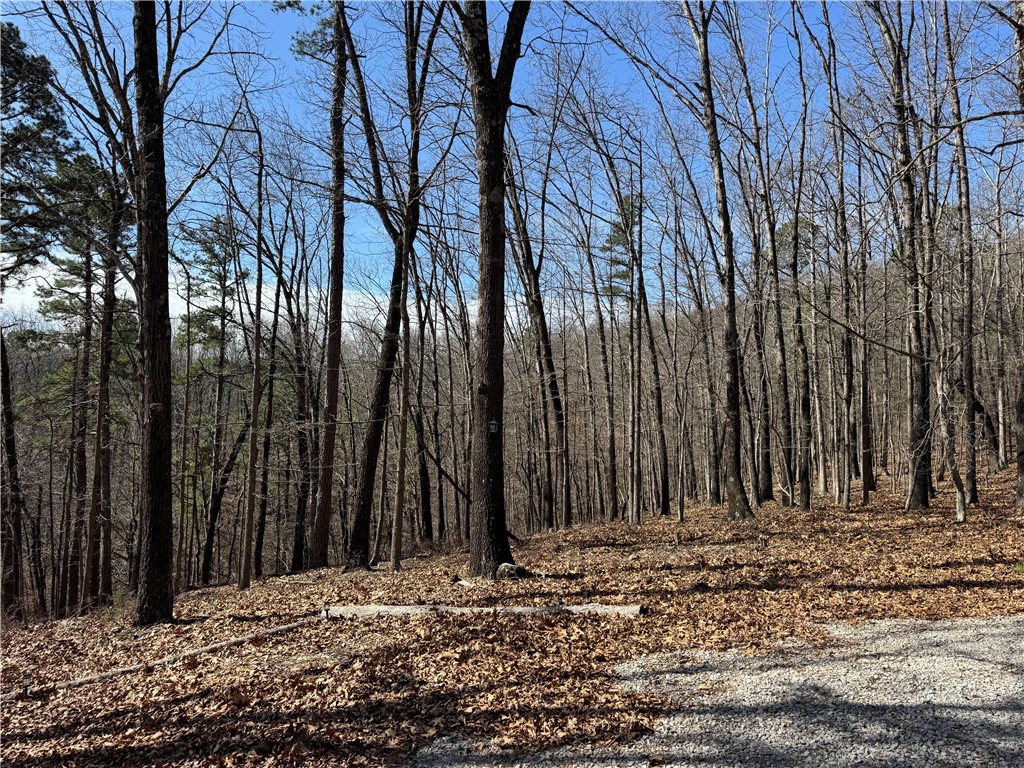 Southern Hills #Iv - Land