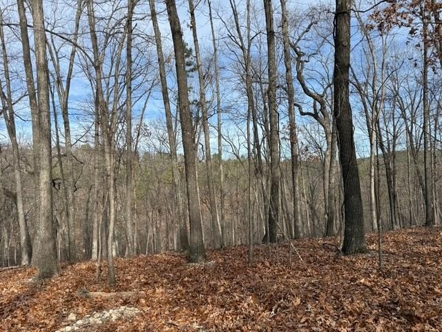 Southern Hills #Iv - Land