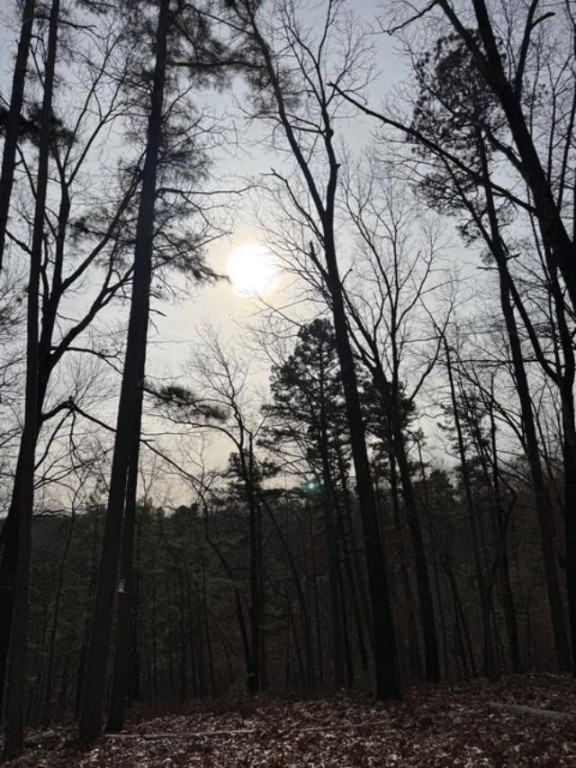 Southern Hills #Iv - Land