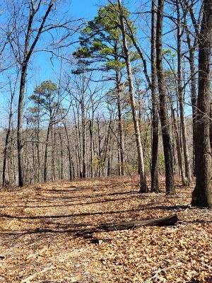 Southern Hills #Iv - Land