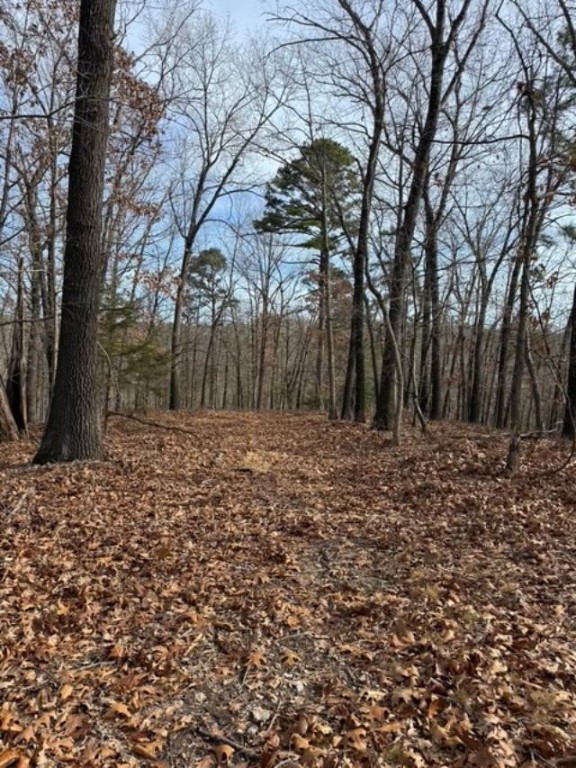 Southern Hills #Iv - Land