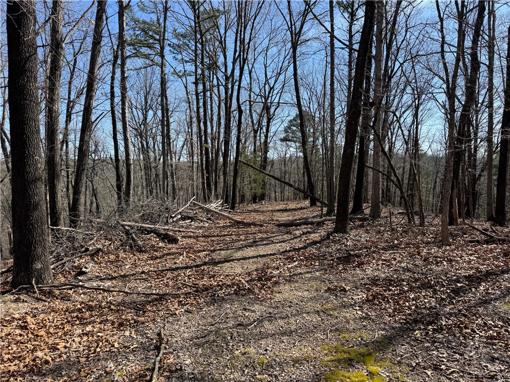 Southern Hills #Iv - Land