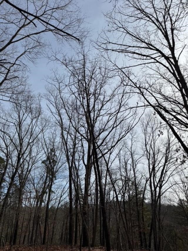 Southern Hills #Iv - Land