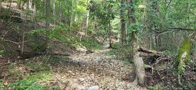 Southern Hills #Iv - Land