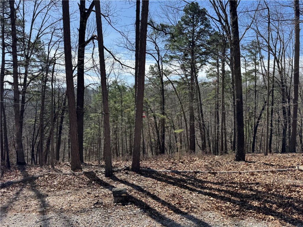 Southern Hills #Iv - Land