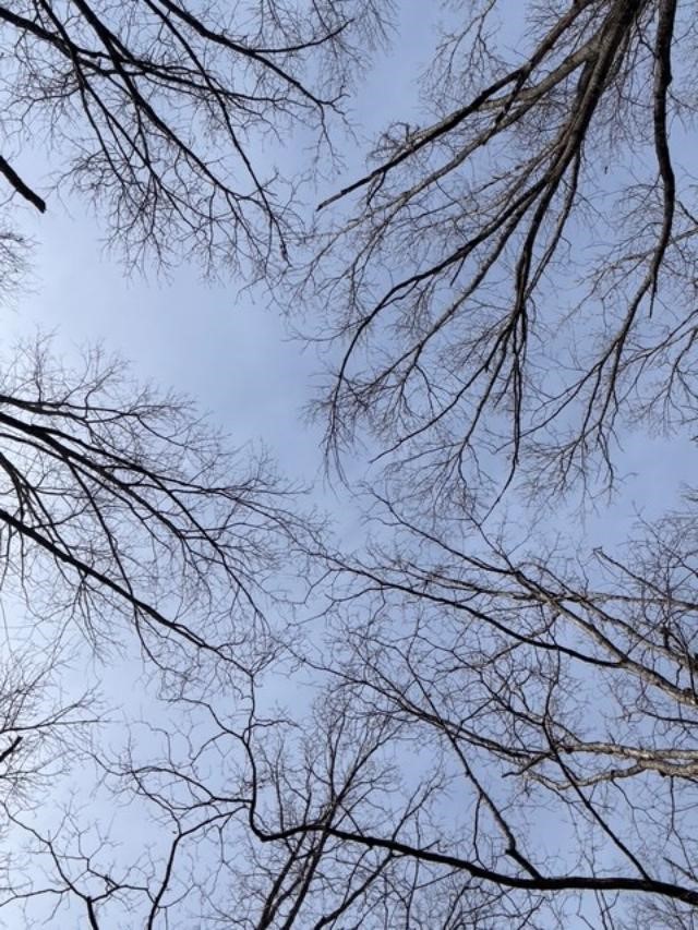 Southern Hills #Iv - Land