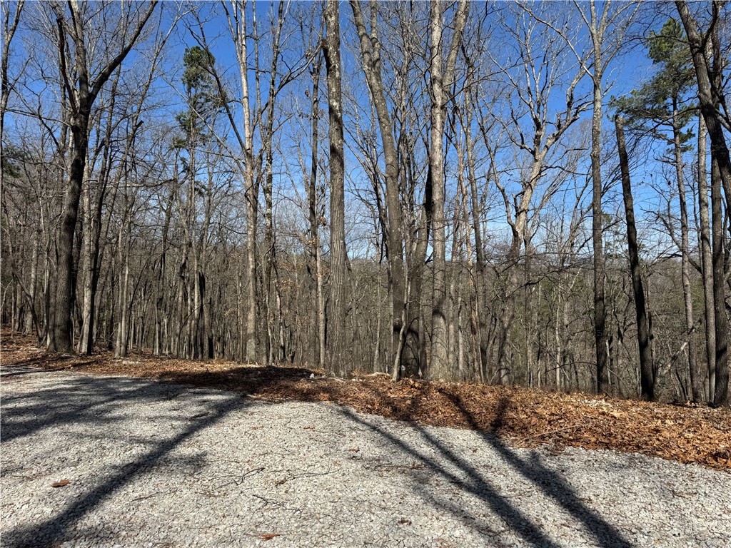 Southern Hills #Iv - Land