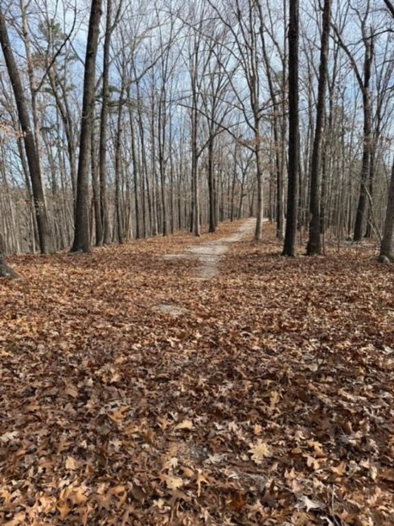 Southern Hills #Iv - Land