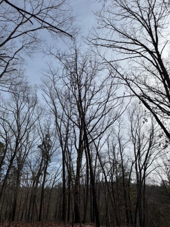 Southern Hills #Iv - Land