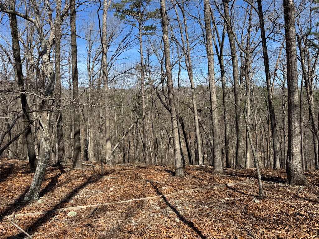 Southern Hills #Iv - Land