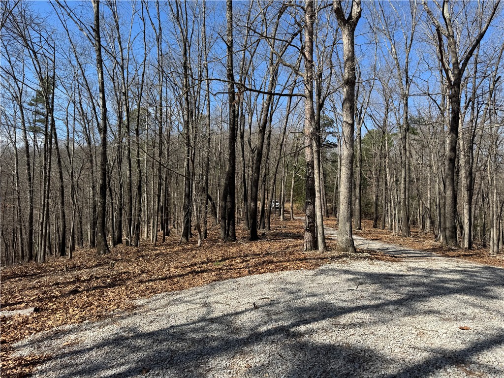 Southern Hills #Iv - Land