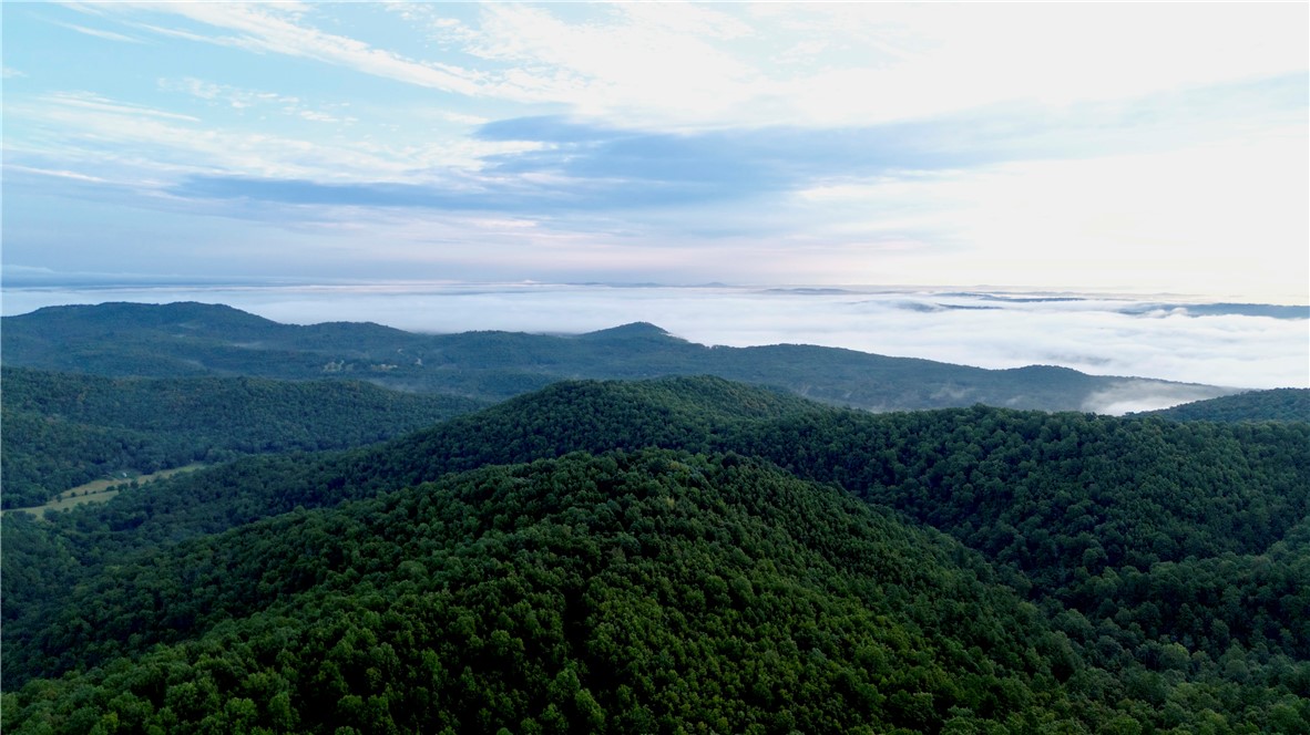 This 86 +/- acre tract in Marion County offers the rugged beauty and privacy of the Ozarks. Accessed by deeded easement off CR 6061, the property starts on a north–south ridge with ample room to build, clear for views, or create food plots. From there, the land drops nearly 300 ft into a hollow with a wet-weather creek that still held water through summer’s dry months. The terrain then rises 200 ft to another ridge along the eastern boundary that runs to the southeast corner. Timber is strong and marketable—white and red oaks with hickory and walnut mixed in. Deer sign is everywhere, with rubs, trails, beds, and scrapes. A small clearing at the north end of the ridge is perfect for a food plot or off-grid cabin. Recreation abounds nearby—20 min to the White River and Bull Shoals tailwaters, 30 min to the Buffalo River, and 45 min to Mountain Home. A true Ozark escape with privacy, wildlife, and endless potential.