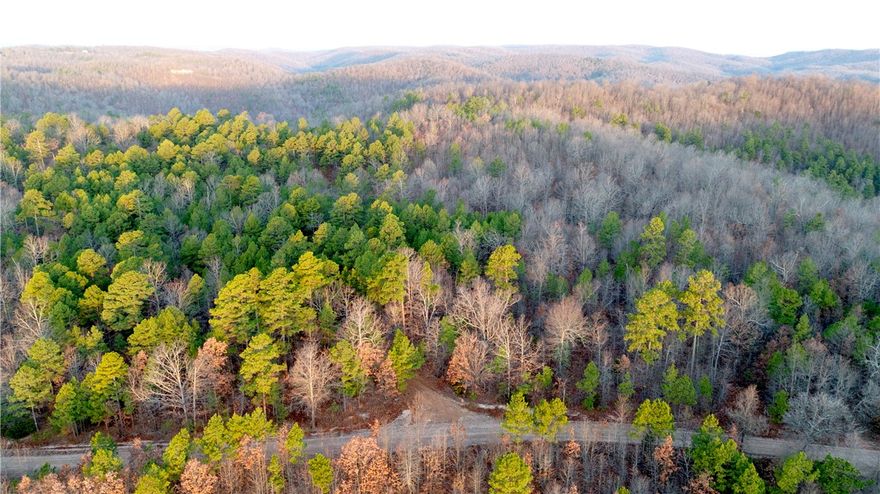 98 Acres of Rugged Ozark Beauty— Caves, Ridges, and Excellent Views!

Tucked away in Marion County, this 98 +/- acre tract offers privacy, terrain, and recreation. Access is via a deeded easement off CR 6061, leading to a main ridge that runs north and south through the property with multiple potential build sites for a cabin, homesite, or food plots. From the north side of the ridge, the land drops nearly 400 feet into a hollow with a wet-weather creek that held water this summer. Between the two ridges is a substantial cave, adding a unique feature for exploring and recreation. The terrain then climbs another 300 feet to a secondary ridge along the east side. Primarily hardwood timber with some pine mixed in. Deer and turkey sign throughout with a small clearing for a plot or off-grid cabin. A metal shell from a former cabin project remains and may offer value for future plans. Convenient to the White River, Bull Shoals Lake, and the Buffalo National River, with Flippin and Mountain Home nearby for supplies.