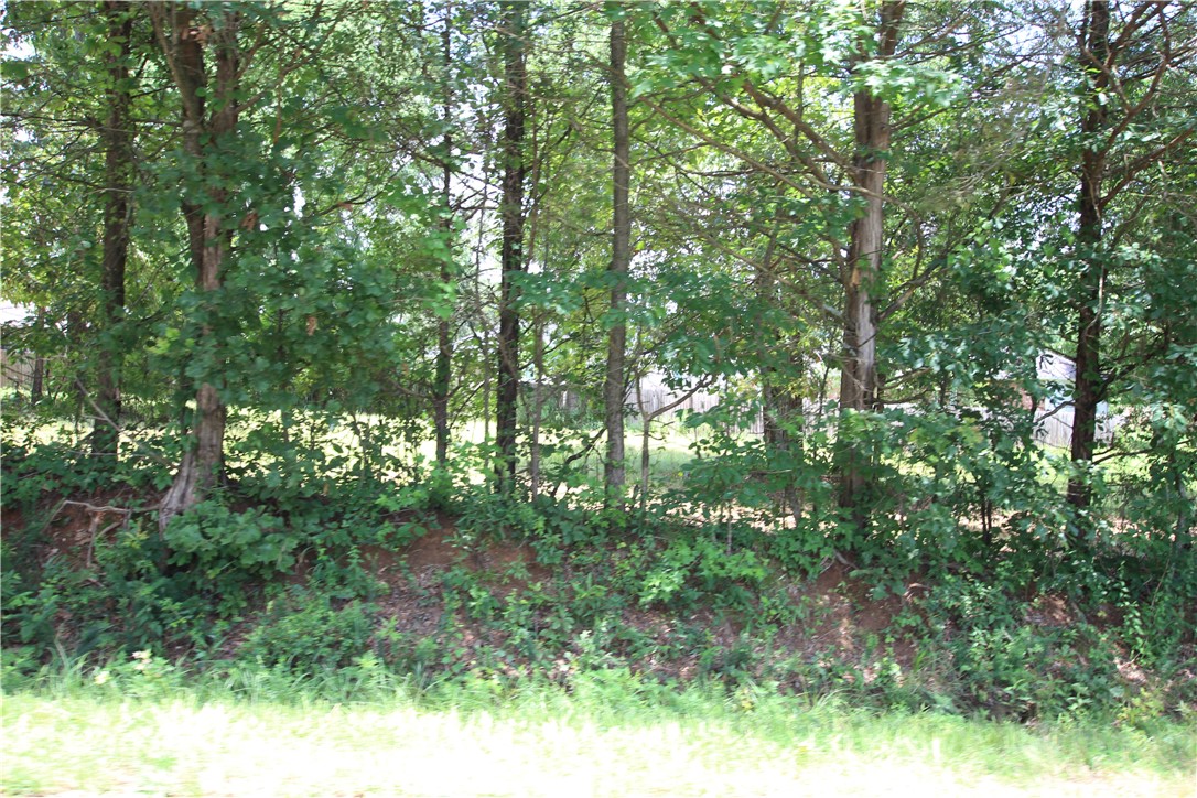 Round Rock Creek - Land