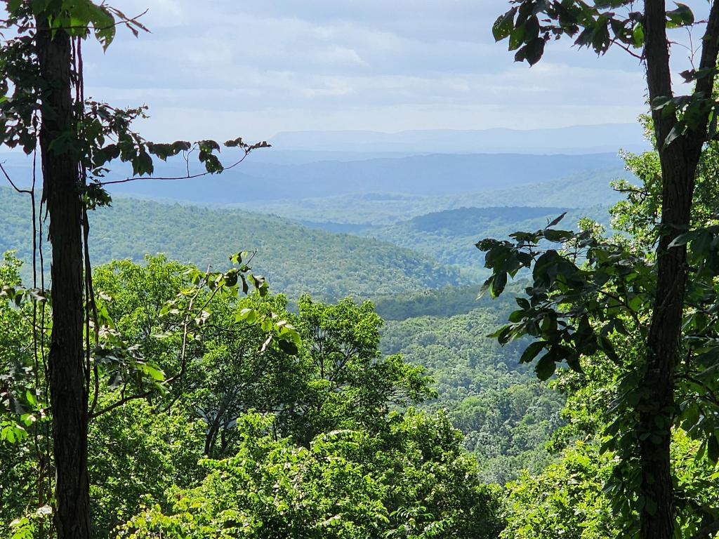 Gorgeous, custom built cabin in Compton AR ~ Solar and propane powered 1200sf newly constructed cabin in the heart of the Ozark Mountains on 4.86 acres with stocked spring-fed pond. Spectacular sunrise view overlooking the Buffalo National River watershed and situated only a mile from the National Park Paige Falls and Broadwater Hollow hiking trail. This 1BR/2BA cabin comes fully furnished with all new furniture, including a sleeper sofa in the living room to make it second sleeping space for guests. Extremely well-built & beautiful craftsmanship using mostly locally sawn lumber, spray-foam insulation, solar panels, 1100ft water well with 2 hp pump, 1250 gallon concrete holding tank with extra pump from tank to the house for fabulous water pressure even in the upstairs, septic system