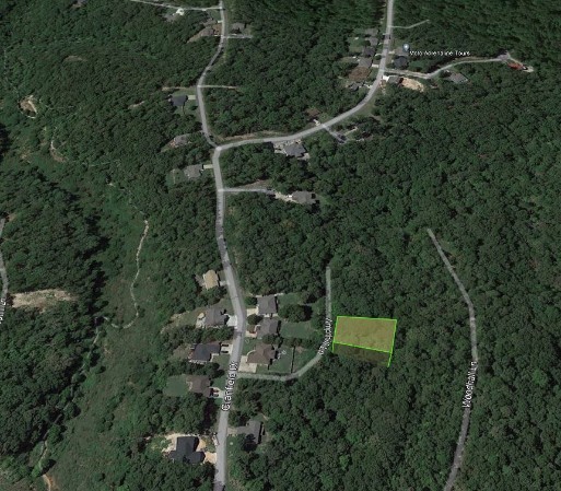 Vacant Lot ā Bella Vista Arkansas
Bella Vista is a fast growing community located outside of Bentonville, AR which is the home of Walmart!
With its location in the Ozark Mountains, the city boasts a primarily temperate climate, and offers four distinct seasons, an array of wildlife and beautiful scenery.
All these qualities and more make Bella Vista truly a place to call home.
The community association provides a ton of amenities has for the outdoor enthusiast.
*** 7 Lakes, 8 Golf Courses, Gun Ranges, Pools and over 100 miles of Mountain Bike Trails