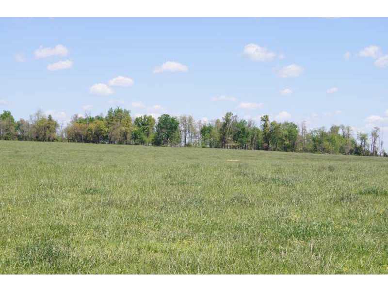 GREAT PLACE TO SPREAD OUT. 45 (+/-) ACRES WITH POND.