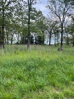 Check's Corner - Land